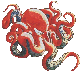 Octopus